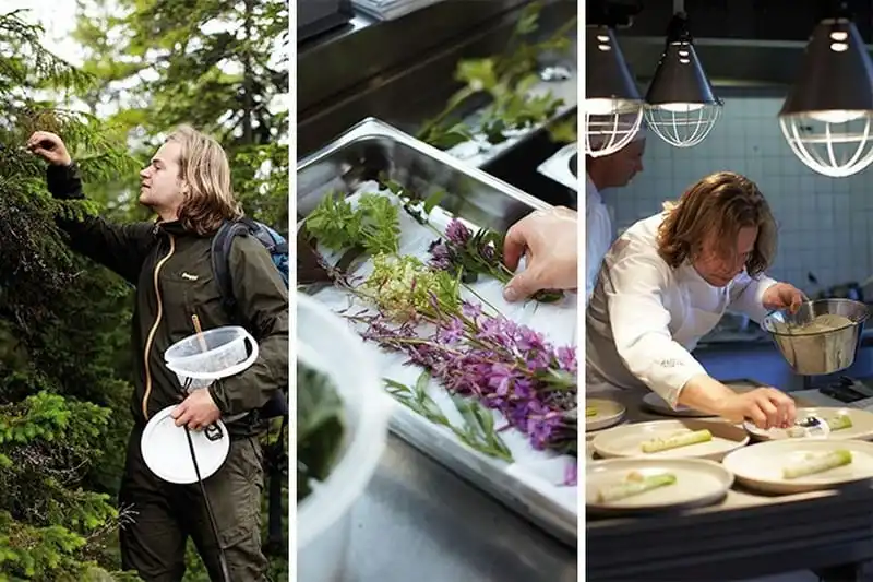 Tạp chí Wanderlust Tips Ghé nhà hàng Fäviken nơi hẻo lánh nhưng luôn đông khách