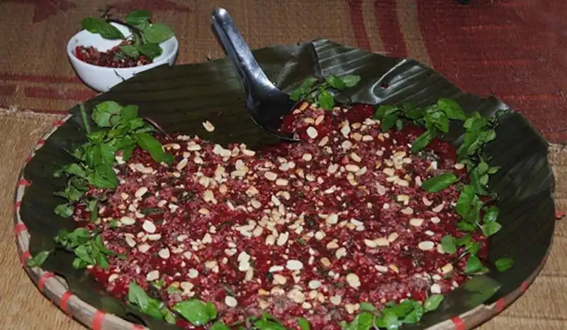 Hạt dổi - Thứ vàng đen của núi rừng Tây Bắc 11 wanderlust tips hat doi rung vang den cua tay bac 01