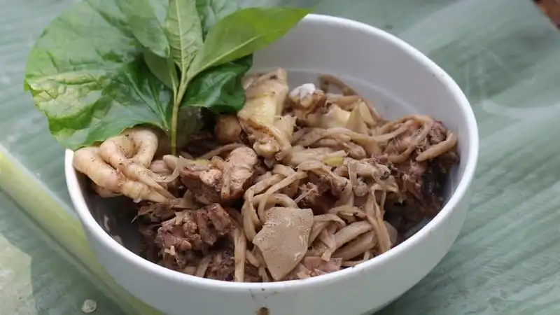 Hạt dổi - Thứ vàng đen của núi rừng Tây Bắc 10 wanderlust tips hat doi rung vang den cua tay bac 04