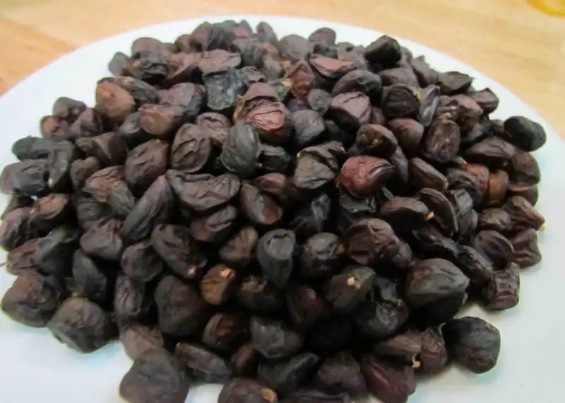 Hạt dổi - Thứ vàng đen của núi rừng Tây Bắc 6 Tạp chí Wanderlust Tips Hạt dổi: Thứ vàng đen của núi rừng Tây Bắc