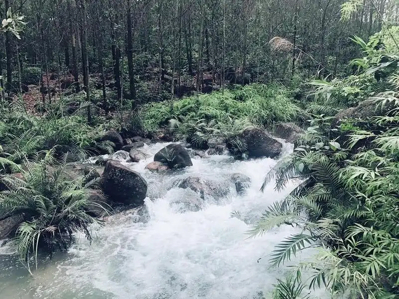 Tạp chí Wanderlust Tips Khu du lịch suối Đá Bàn xây trái phép trên đất rừng ở Quảng Ninh