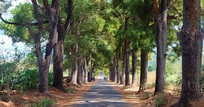 Kinh nghiệm để có một chuyến du lịch Gia Lai hoàn hảo 11 Wanderlust Tips Kinh nghiệm du lịch Gia Lai