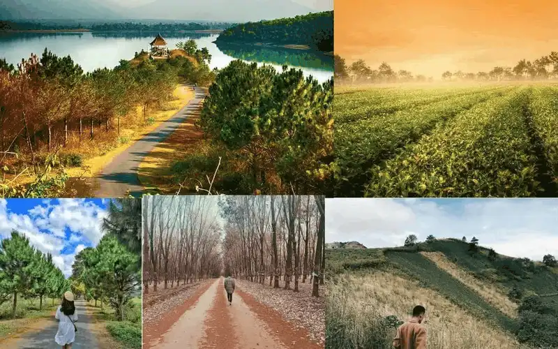 Kinh nghiệm để có một chuyến du lịch Gia Lai hoàn hảo 14 Wanderlust Tips Kinh nghiệm du lịch Gia Lai