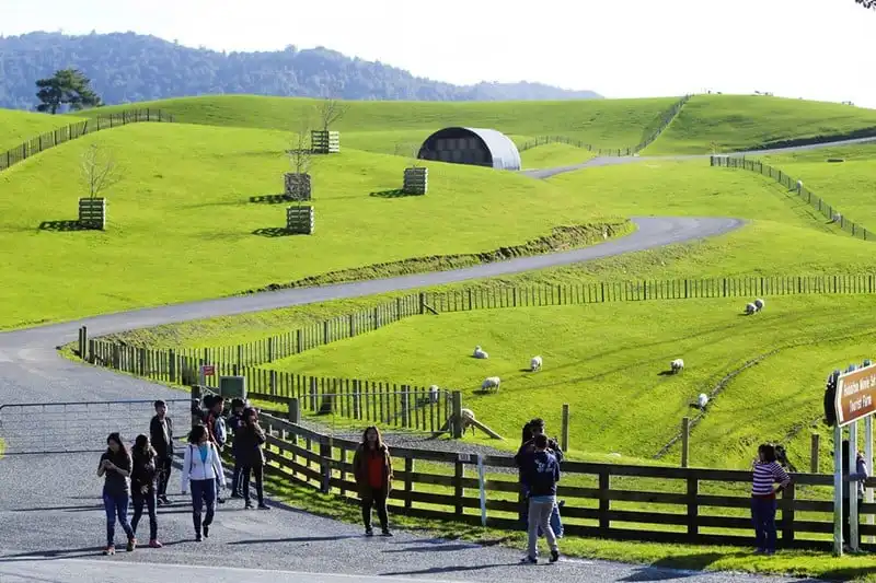 Tạp chí Wanderlust Tips Lạc vào xứ sở thần tiên ở Hobbiton