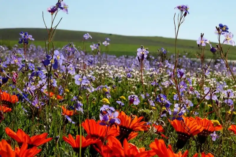 Wanderlust Tips Ở nơi người ta gọi nhau là Darling