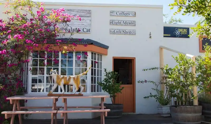 Wanderlust Tips Ở nơi người ta gọi nhau là Darling