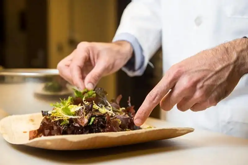 Tảo dulse - Biểu trưng ẩm thực Ireland 7 Tạp chí Wanderlust Tips Tảo dulse - Biểu trưng của ẩm thực Ireland