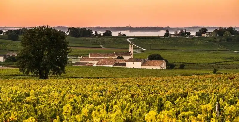 Tạp chí Wanderlust Tips Thăm Bordeaux: thiên đường của rượu vang