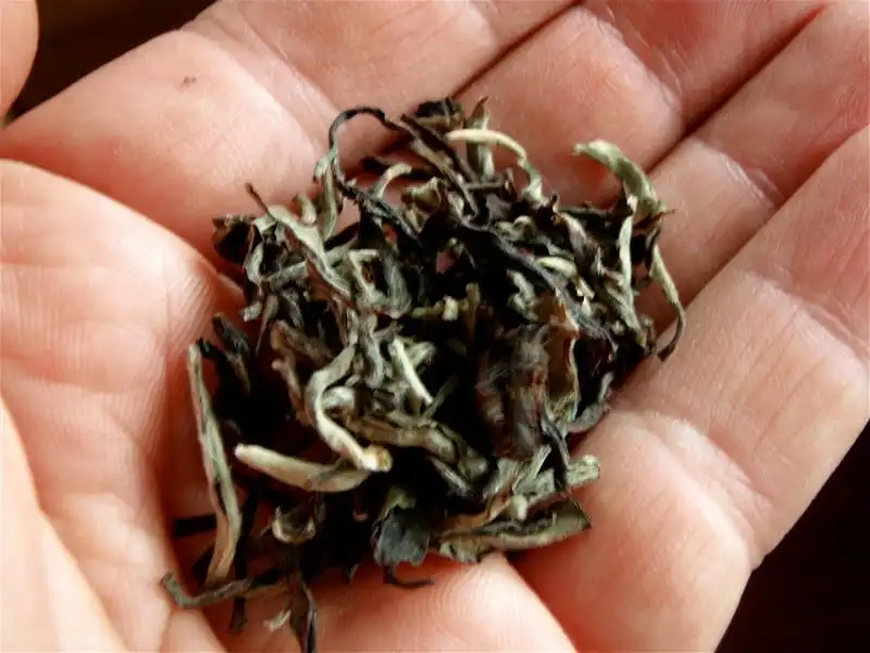 Thứ trà quý đến từ đêm trăng rằm Himalaya 8 Tạp chí Wanderlust Tips Thứ trà quý đến từ đêm trăng rằm Himalaya