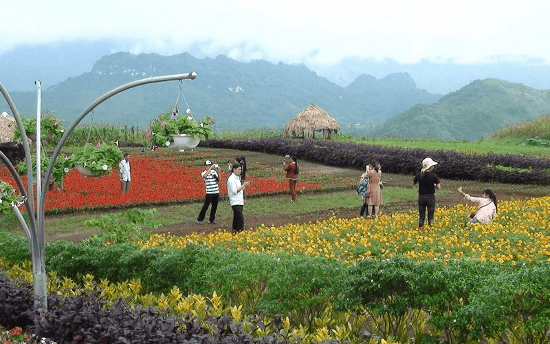 Bình nguyên xanh Khai Trung đẹp mê đắm lòng người 5 Tạp chí Wanderlust Tips Bình nguyên xanh Khai Trung đẹp mê đắm lòng người