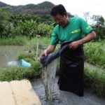wanderlust tips su quyen ru cua phuong phap nhuom bun truyen thong bia