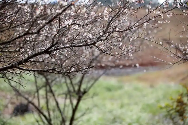 Cao nguyên Bắc Hà vương vấn bước chân người lữ khách 7 Tạp chí Du lịch Wanderlust Tips | Cao nguyên Bắc Hà vương vấn bước chân người lữ khách