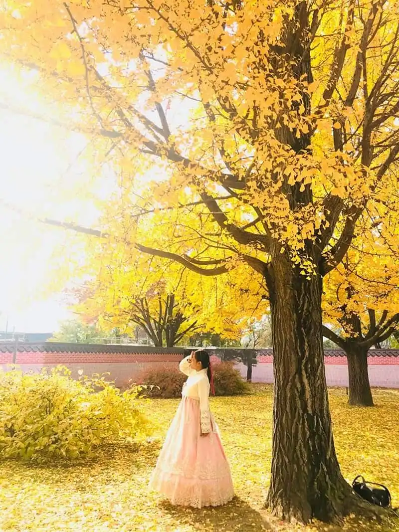 Tạp chí Du lịch Wanderlust Tips | Cô gái chia tay tuổi 25 bằng chuyến du lịch Hàn Quốc 