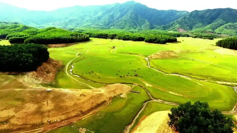 Có một thiên đường mướt xanh giữa lòng Đà Nẵng 7 Tạp chí Du lịch Wanderlust Tips | Có một thiên đường mướt xanh giữa lòng Đà Nẵng