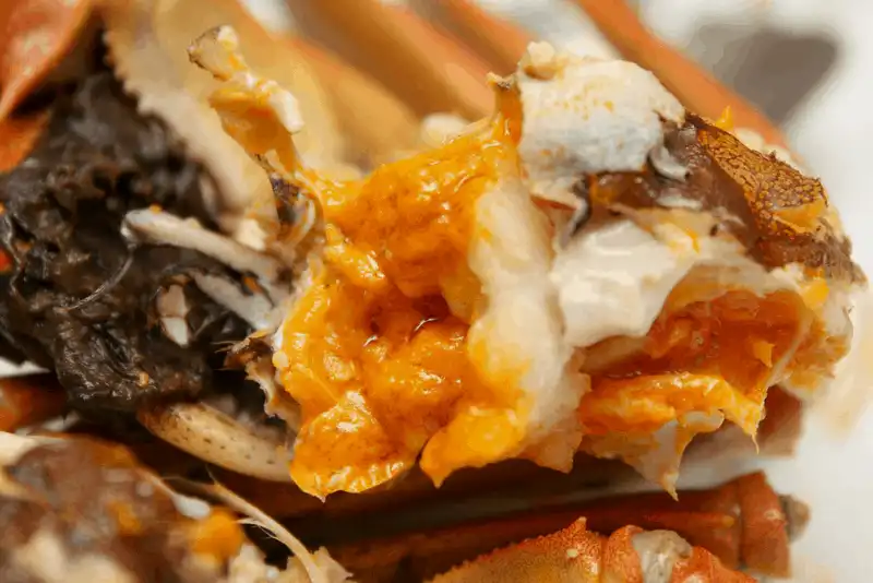 Cua lông Thượng Hải: Món đặc sản hiếm hoi chỉ có theo mùa 9 Tạp chí Du lịch Wanderlust Tips Cua Lông Thượng Hải: Món đặc sản hiếm hoi chỉ có theo mùa