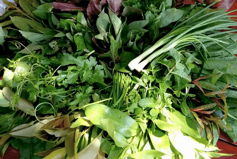 Tạp chí Du lịch Wanderlust Tips Độc đáo gỏi lá, chưa ăn chưa đến Kon Tum