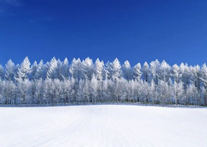 Du lịch mùa đông ngắm tuyết trắng đẹp ngỡ ngàng 7 Tạp chí Du lịch Wanderlust Tips | Du lịch mùa đông ngắm tuyết trắng đẹp ngỡ ngàng