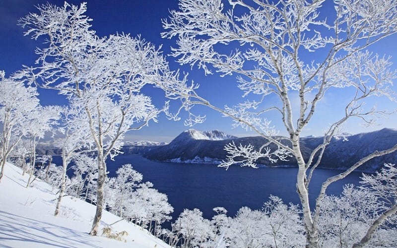 Tạp chí Du lịch Wanderlust Tips | Du lịch Nhật Bản mùa đông đừng bỏ qua Hokkaido