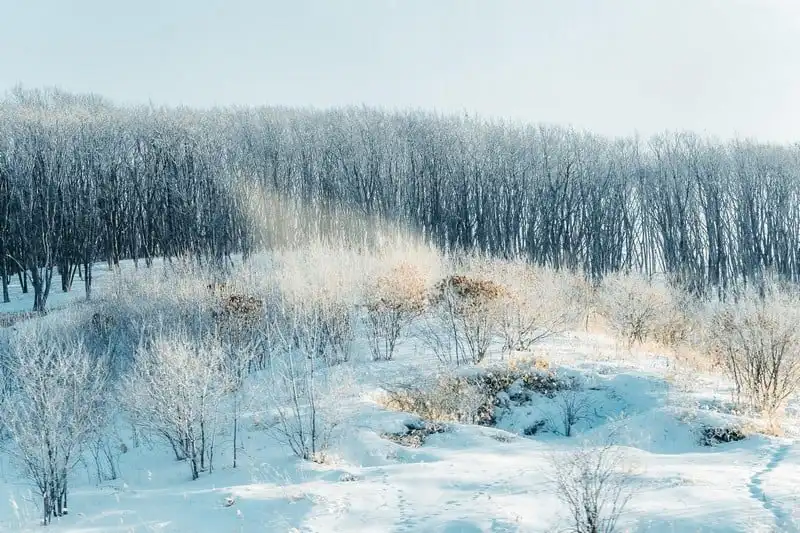 Tạp chí Du lịch Wanderlust Tips | Du lịch Nhật Bản mùa đông đừng bỏ qua Hokkaido
