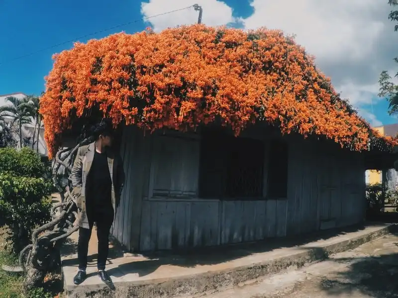 Gặp chàng trai mê du lịch đi qua 41 tỉnh thành Việt Nam 10 Tạp chí Du lịch Wanderlust Tips | Gặp chàng trai mê du lịch đi hết 41 tỉnh Việt Nam