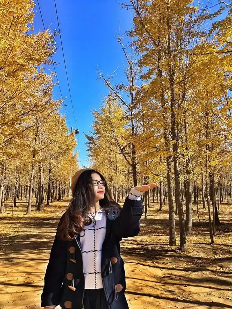 Gặp cô gái Việt mê đắm mùa thu vàng Bắc Kinh 6 Tạp chí Du lịch Wanderlust Tips | Gặp cô gái Việt mê đắm mùa thu vàng Bắc Kinh