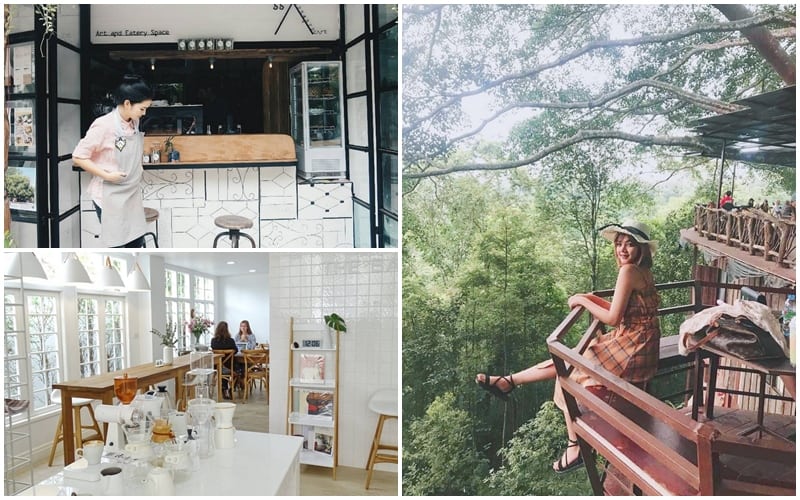 Tạp chí Du lịch Wanderlust Tips | Ghé thăm những quán cà phê độc đáo ở Chiang Mai