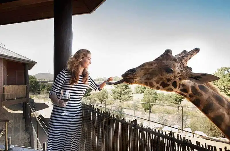 Tạp chí Du lịch Wanderlust Tips | Khách sạn lý tưởng dành cho người yêu thiên nhiên