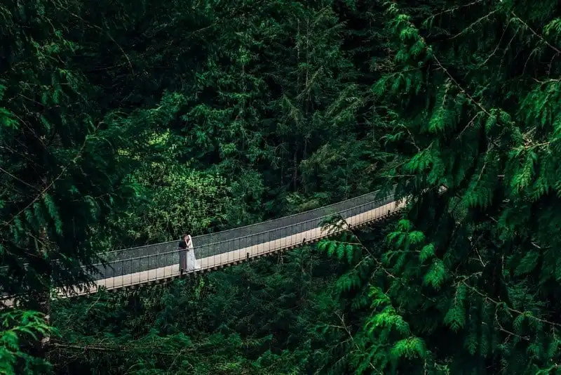 Khám phá những cây cầu đáng sợ nhất thế giới