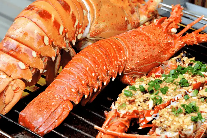 Tạp chí Du lịch Wanderlust Tips Kinh nghiệm du lịch đảo Bình Ba, Khánh Hòa