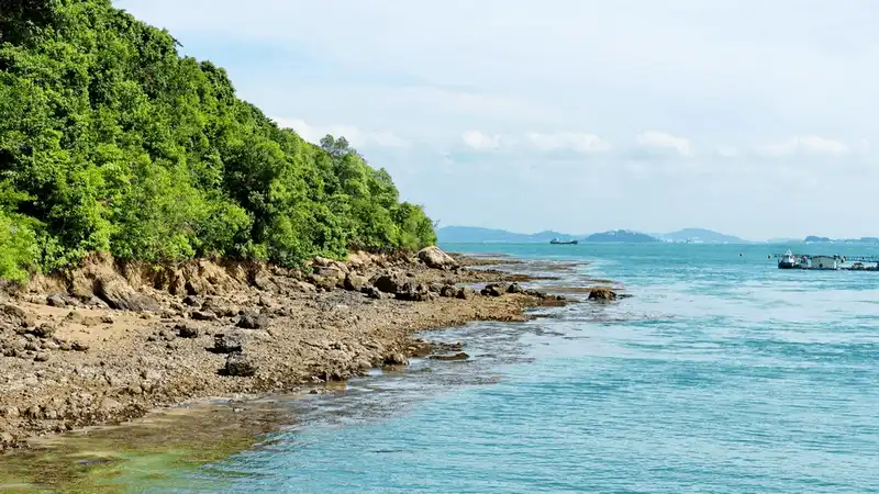 Kinh nghiệm du lịch Lazarus: Hòn đảo hoang sơ của Singapore 13 Tạp chí Du lịch Wanderlust Tips Kinh nghiệm du lịch Lazarus - Hòn đảo hoang sơ của Singapore