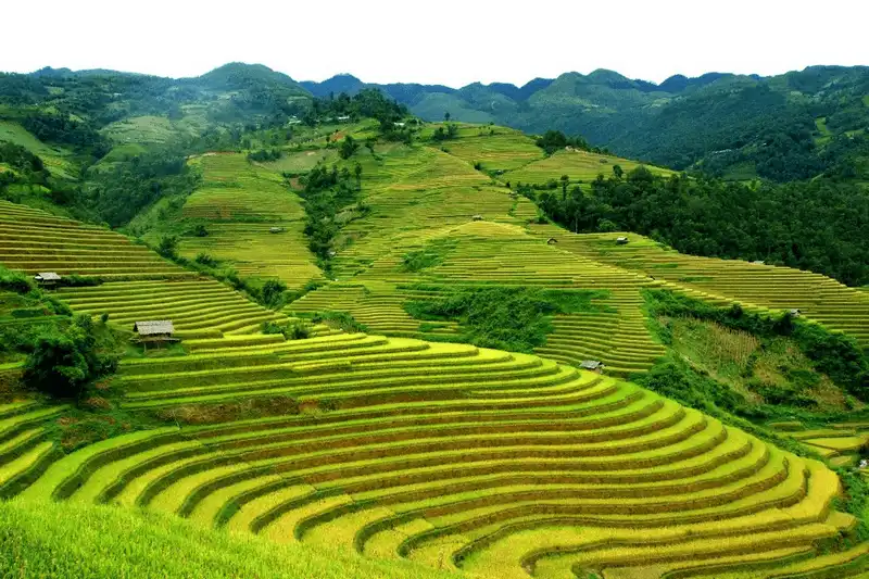 Tạp chí Du lịch Wanderlust Tips Kinh nghiệm khám phá du lịch Si Ma Cai ở Lào Cai