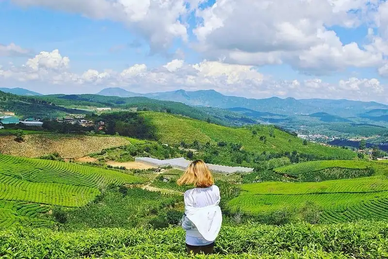 Mê mẩn những đồi chè đẹp bình yên ở Việt Nam 8 Tạp chí Du lịch Wanderlust Tips | Mê mẩn những đồi chè đẹp bình yên ở Việt Nam