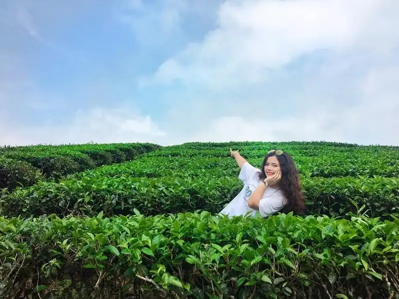 Mê mẩn những đồi chè đẹp bình yên ở Việt Nam 14 Tạp chí Du lịch Wanderlust Tips | Mê mẩn những đồi chè đẹp bình yên ở Việt Nam