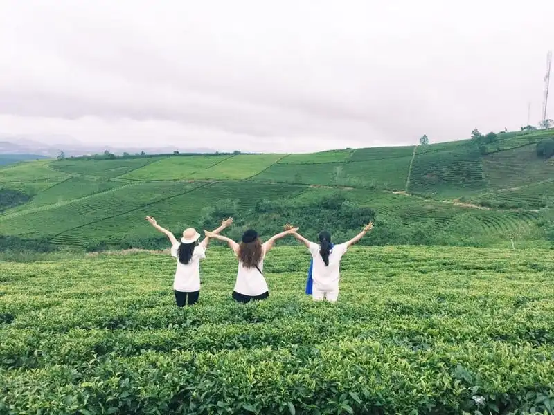 Mê mẩn những đồi chè đẹp bình yên ở Việt Nam 7 Tạp chí Du lịch Wanderlust Tips | Mê mẩn những đồi chè đẹp bình yên ở Việt Nam