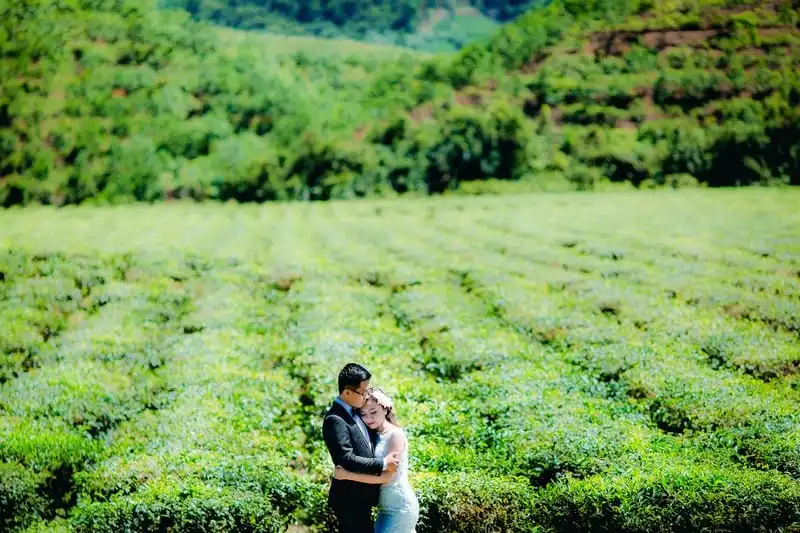 Mê mẩn những đồi chè đẹp bình yên ở Việt Nam 11 Tạp chí Du lịch Wanderlust Tips | Mê mẩn những đồi chè đẹp bình yên ở Việt Nam