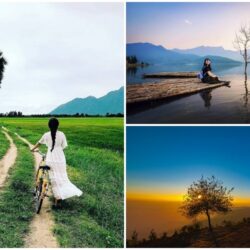 Tạp chí Du lịch Wanderlust Tips | Những cây cô đơn ở Việt Nam khiến giới trẻ thích mê