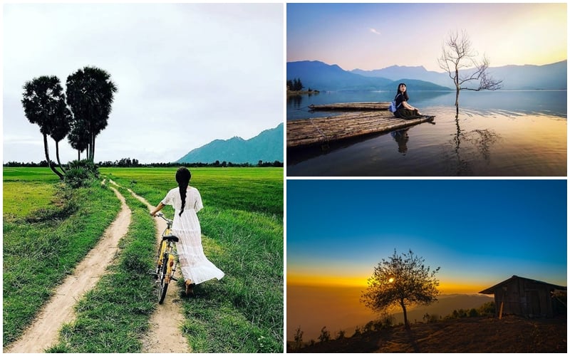 Tạp chí Du lịch Wanderlust Tips | Những cây cô đơn ở Việt Nam khiến giới trẻ thích mê
