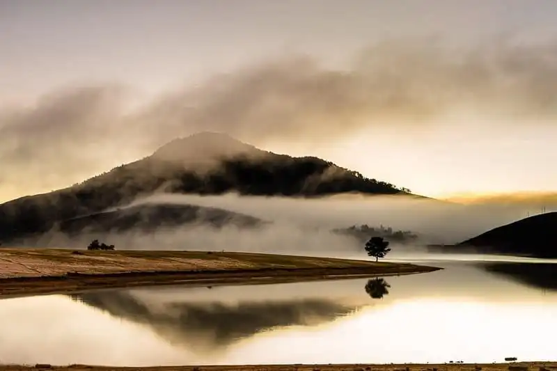 Những cây cô đơn ở Việt Nam khiến giới trẻ thích mê 5 Tạp chí Du lịch Wanderlust Tips | Những cây cô đơn ở Việt Nam khiến giới trẻ thích mê