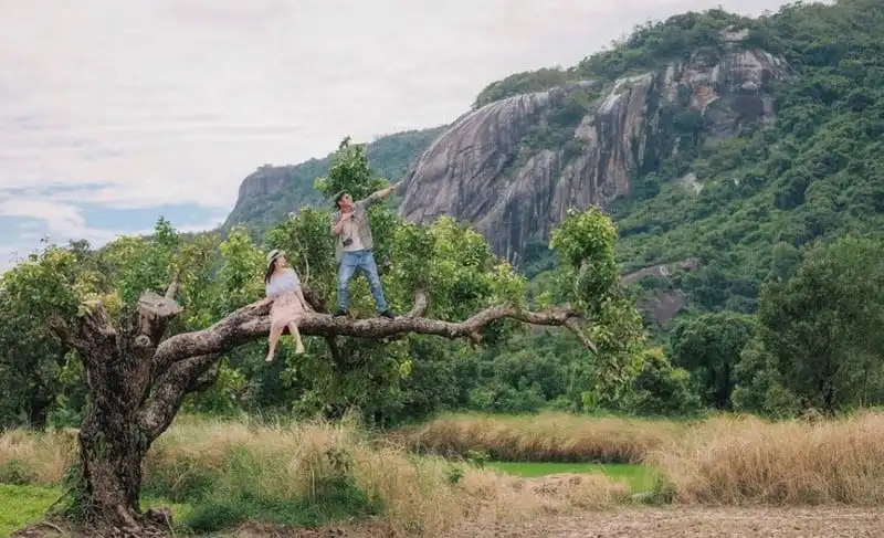 Những cây cô đơn ở Việt Nam khiến giới trẻ thích mê 8 Tạp chí Du lịch Wanderlust Tips | Những cây cô đơn ở Việt Nam khiến giới trẻ thích mê