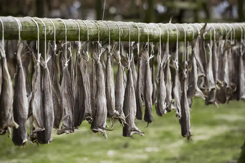 Những điều cần biết trước khi đi du lịch Iceland 20 Tạp chí Du lịch Wanderlust Tips Những điều cần biết trước khi đi du lịch Iceland