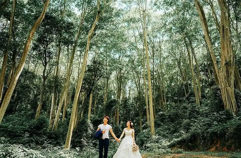 Rừng săng lẻ đẹp bình yên giữa đại ngàn xứ Nghệ 7 Tạp chí Du lịch Wanderlust Tips | Rừng săng lẻ đẹp bình yên giữa đại ngàn xứ Nghệ