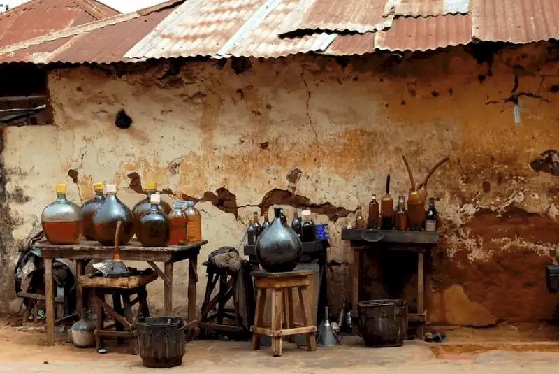 Những điểm đến không thể bỏ qua ở Benin 6 Tạp chí Du lịch Wanderlust Tips Tham quan những điểm đến hấp dẫn ở Benin