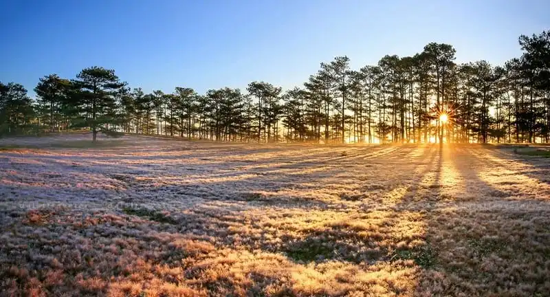 Tháng 12, tìm về những miền đất bình yên dọc Việt Nam 10 Tạp chí Du lịch Wanderlust Tips | Tháng 12, tìm về những miền đất bình yên dọc Việt Nam