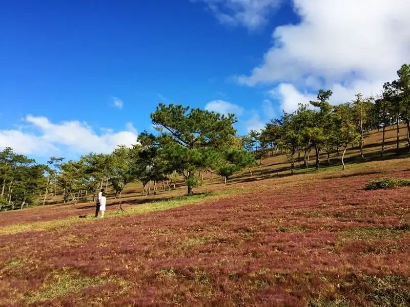 Tháng 12, tìm về những miền đất bình yên dọc Việt Nam 9 Tạp chí Du lịch Wanderlust Tips | Tháng 12, tìm về những miền đất bình yên dọc Việt Nam