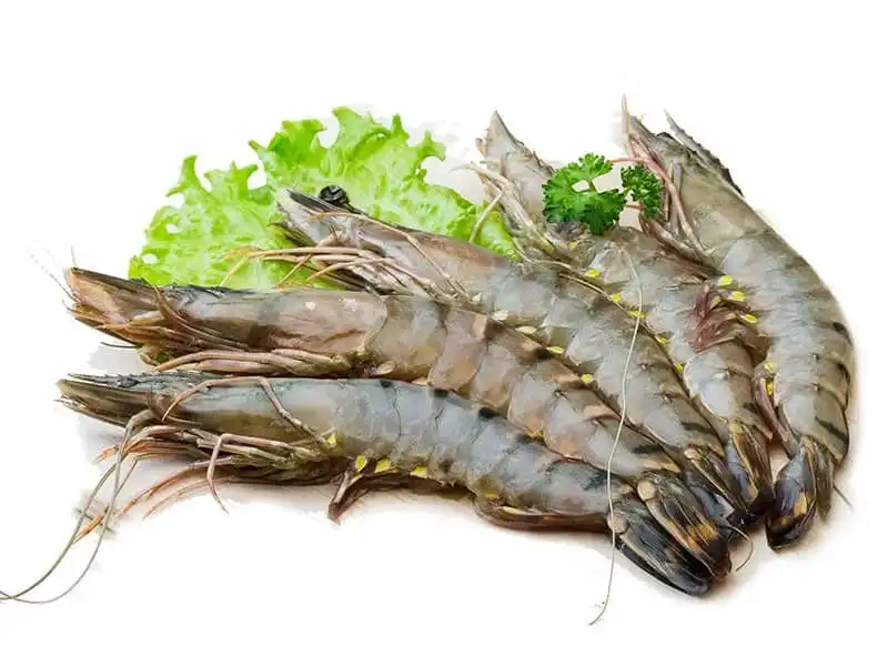 Tạp chí Du lịch Wanderlust Tips | Về Quảng Ninh thưởng thức những món hải sản độc đáo