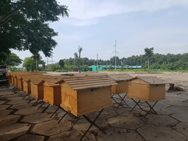 Tạp chí Du lịch Wanderlust Tips Vui chơi quên lối về tại làng nổi Tân Lập, Long An