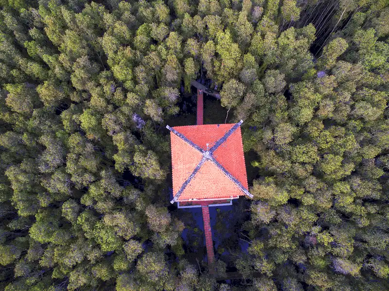 Tạp chí Du lịch Wanderlust Tips Vui chơi quên lối về tại làng nổi Tân Lập, Long An