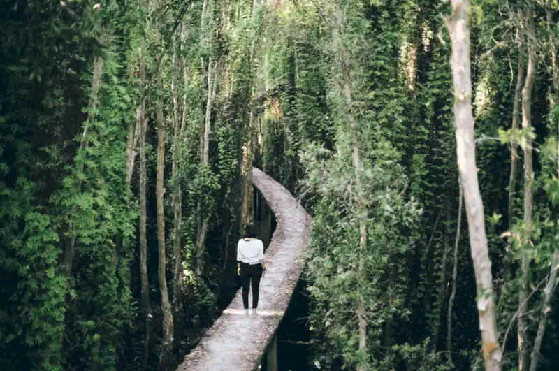 Tạp chí Du lịch Wanderlust Tips Vui chơi quên lối về tại làng nổi Tân Lập, Long An