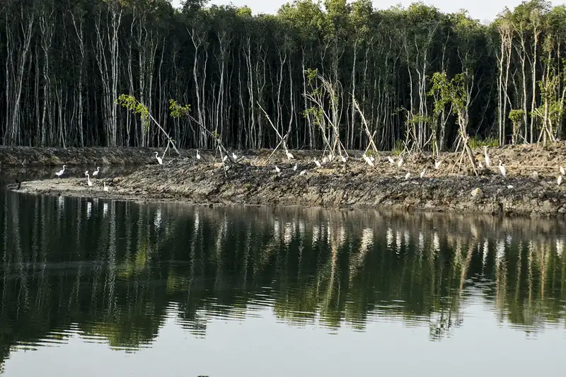 Tạp chí Du lịch Wanderlust Tips Vui chơi quên lối về tại làng nổi Tân Lập, Long An