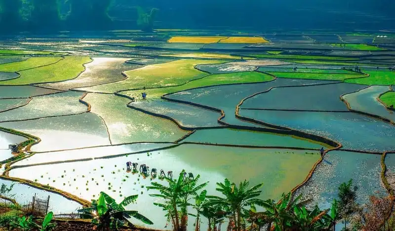 Tạp chí Du lịch Wanderlust Tips Tổng hợp kinh nghiệm du lịch Lai Châu bổ ích